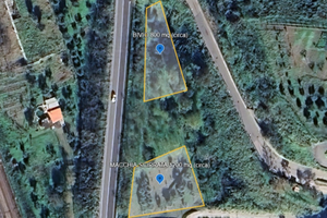 Terreno agricolo con uliveto