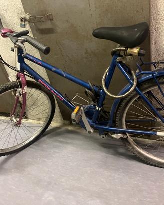 Bicicletta KETTLER mountain bike da donna usata
