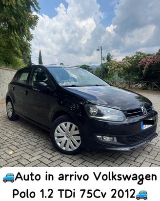 Volkswagen Polo 1.2 TDI 75Cv Euro5 2012