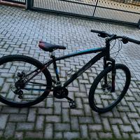 Bici mountainbike