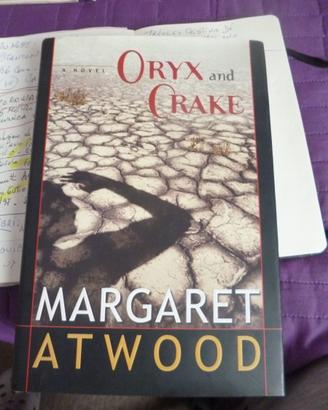libro in inglese