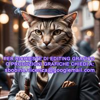 Grafico creatore di contenuti digitali