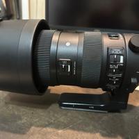 Sigma 60-600mm Sport