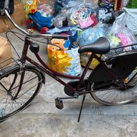 Bici da donna verde