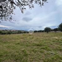 TER. AGRICOLO A MOSCIANO SANT'ANGELO