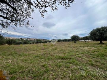 TER. AGRICOLO A MOSCIANO SANT'ANGELO