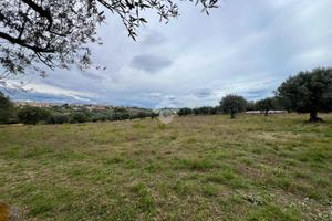 TER. AGRICOLO A MOSCIANO SANT'ANGELO