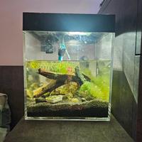 acquario askoll pure s