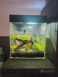 acquario askoll pure s