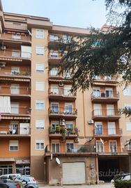 via Pacini  elegante moderno funzionale