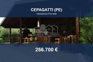 Immobile in asta di 200 m² a Cepagatti