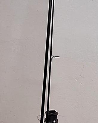 canna da carpfisching compresa di mulinello