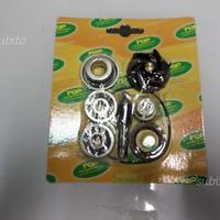 Kit revisione pompa acqua Piaggio 250 300