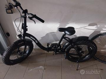 bicicletta