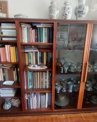 Libreria vetrina mid-century in palissandro