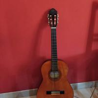 Chitarra eco