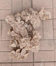 pietra rosa del deserto