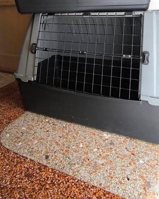 2 trasportini cane