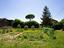 Immagine 20
