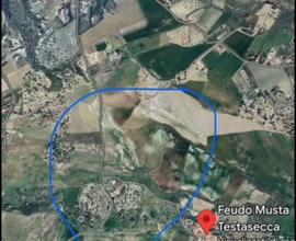 Terreno edificabile in F2