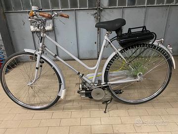 Bicicletta con mosquito