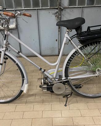 Bicicletta con mosquito