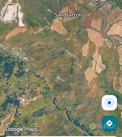 Terreno agricolo 20 ettari
