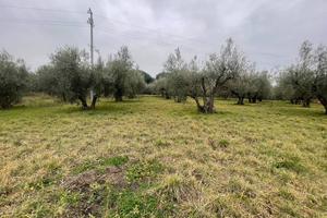 Terreno di 5000 m² a Viterbo
