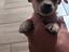Immagine 3