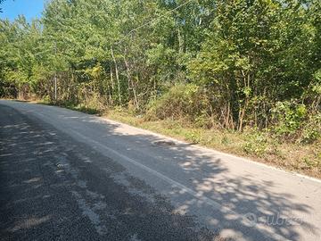 Terreno di mq. 25.000 con rudere di mq. 180 circa