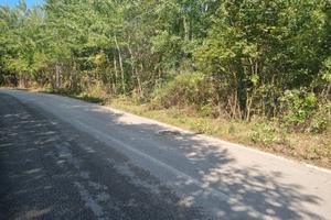 Terreno di mq. 25.000 con rudere di mq. 180 circa