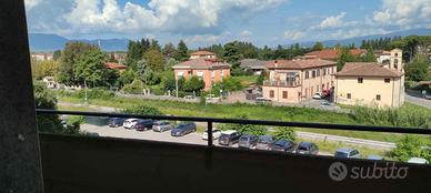 trilocale arredato
