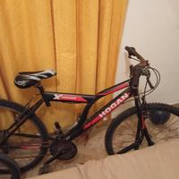 bicicletta hogan