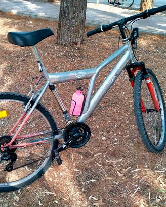 Bicicletta uomo mis.26