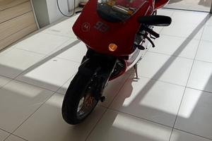 ducati 748 biposto 
