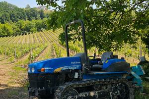 Cingolato New Holland TK 75V 