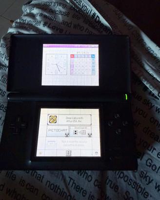 Nintendo DS lite