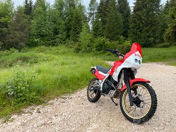 HONDA DOMINATOR 650 restaurata