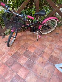 Due biciclette