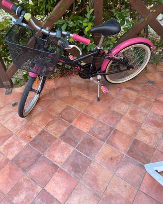 Due biciclette