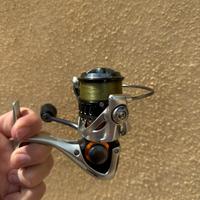 Mulinello pesca bolognese