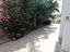 Immagine 12