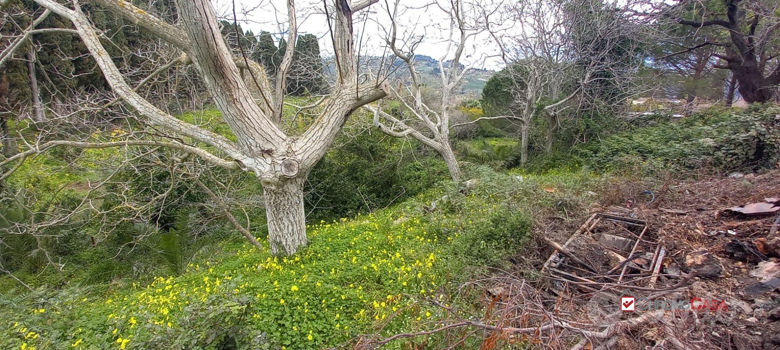 Locanda, terreno con ruderi e deposito - Altro