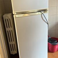 Frigo con surgelatore