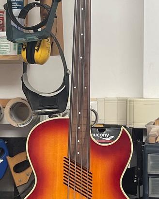 Washburn AB-20 Fretless Acoustic-Electric Bass - S