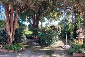 Casa singola con giardino ed eventuale terreno