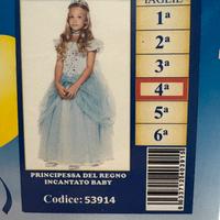 Vestito carnevale cenerentola