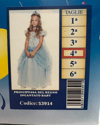 Vestito carnevale cenerentola