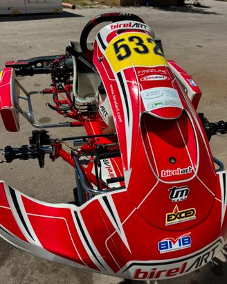 Birel art