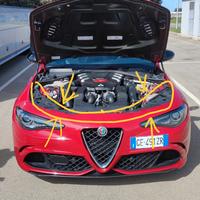 cover cofano Alfa Romeo Giulia 